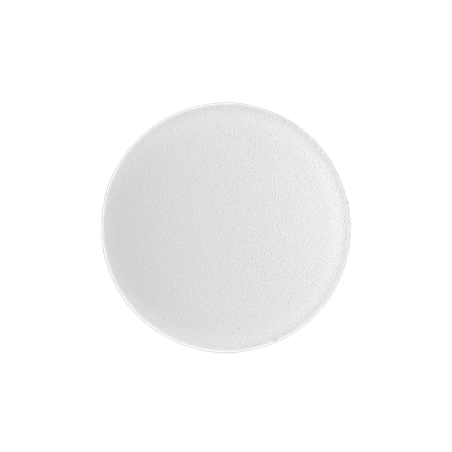 P-5380 4 Inch 80 DEGREE FROSTED OPTICAL LENS