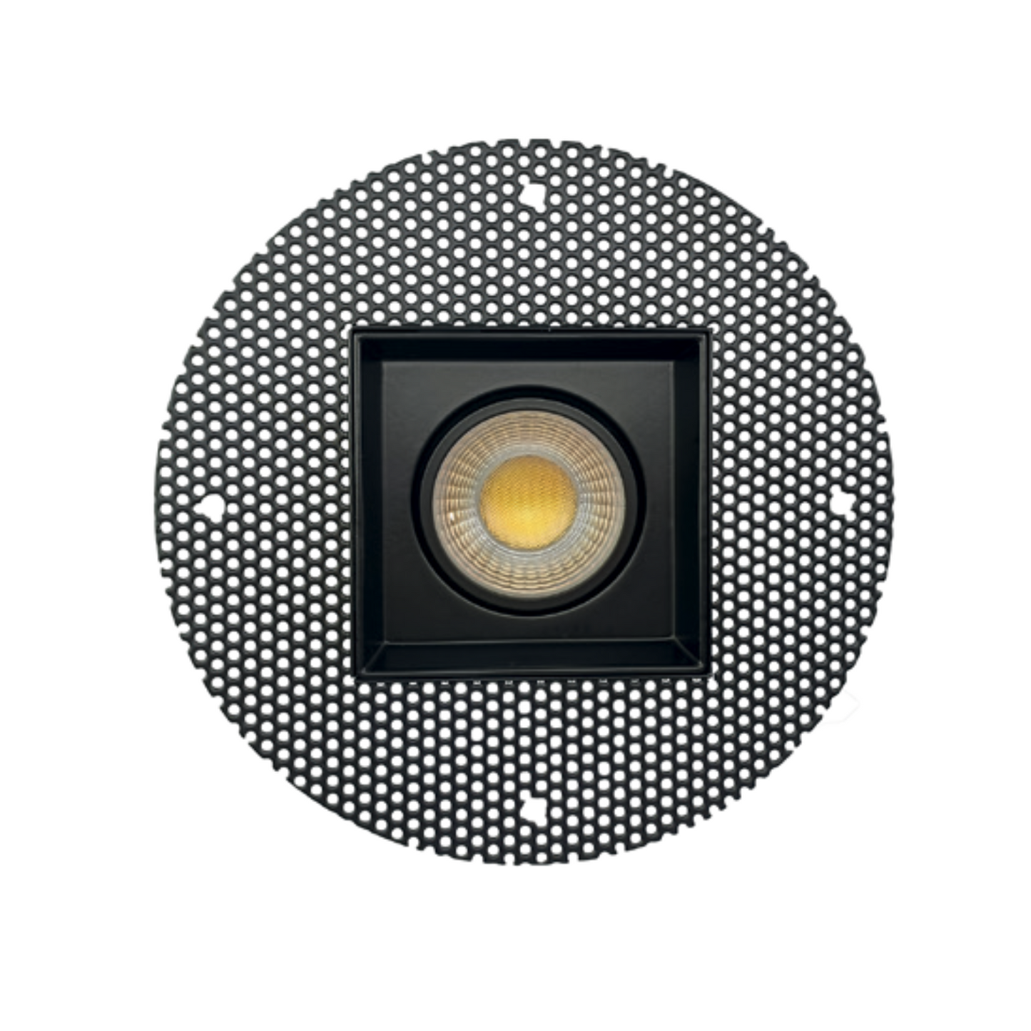 P-5475 4 Inch Trimless Multiple Black 14W 1200 Lumens 5CCT Gimbal Light