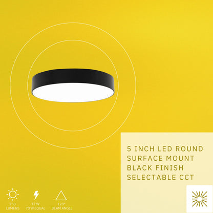 P-6324 5 Inch Edgeless Round Black 12W 780 Lumens 5CCT Disk Light