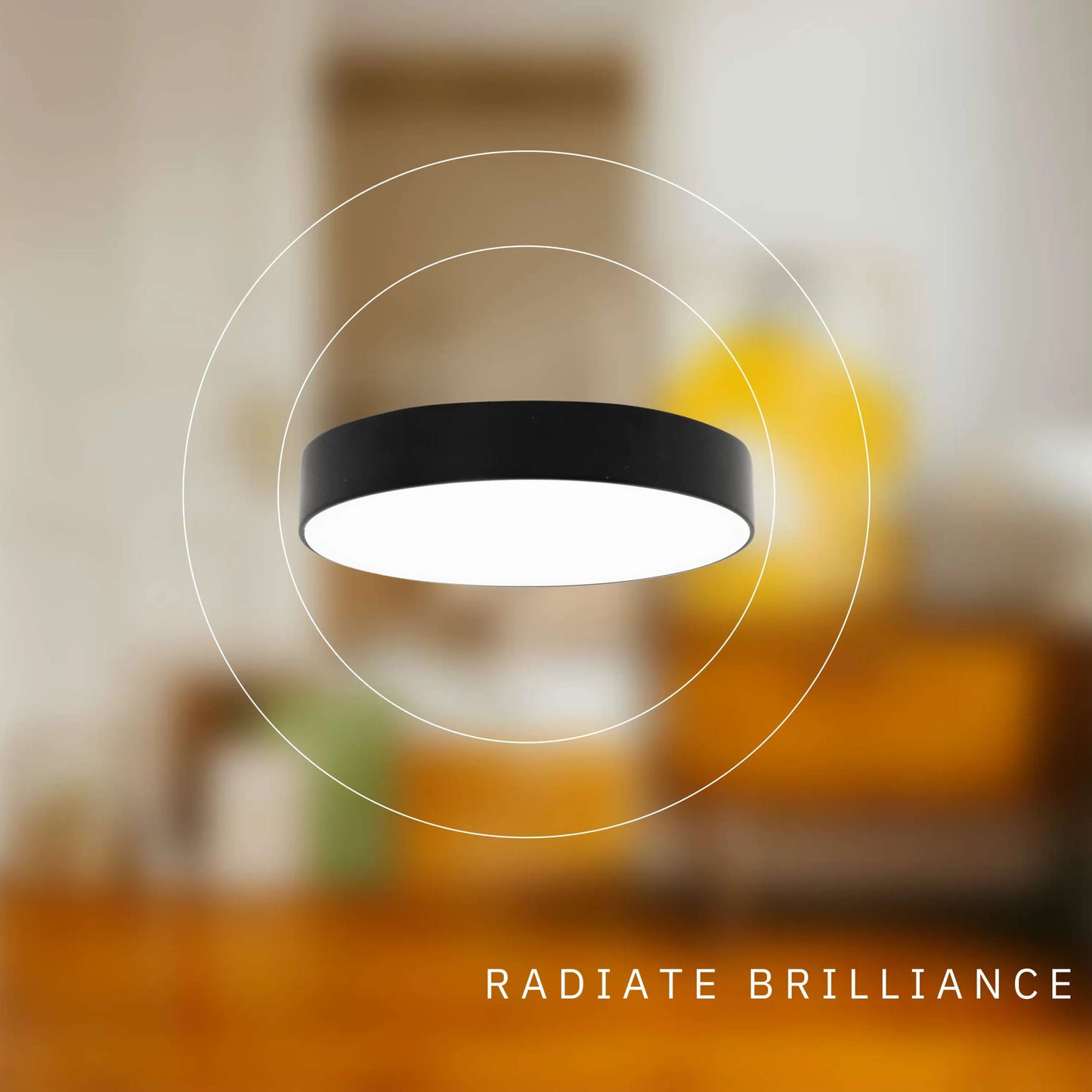 P-6324 5 Inch Edgeless Round Black 12W 780 Lumens 5CCT Disk Light