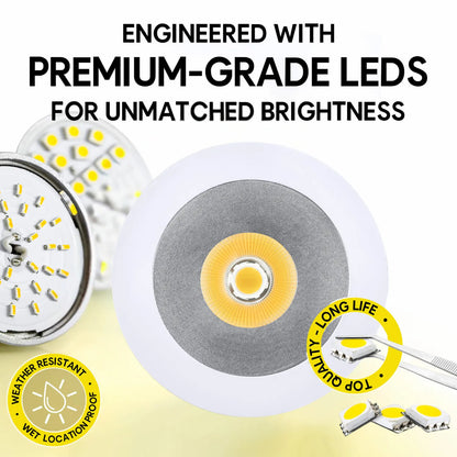 P-7331 6 Inch Round Haze Finish 40-82W, 3800-7200 Lumens, 5CCT Recessed Light