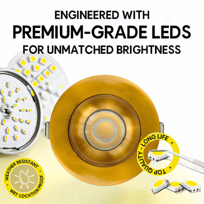 P-7189 3 Inch Round Brushed Brass HO 24W, 2100 Lumens, Non-IC, 5CCT Gimbal Light