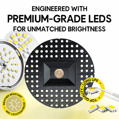 P-7359 1.5 Inch Trimless Ultra-Narrow Single Head Black HO, 15W, 1100 Lumens, 5CCT Recessed Light