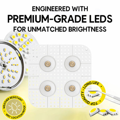 P-7380 1.5 Inch Trimless Quadruple Head Round White HO, 60W, 4400 Lumens, 5CCT Recessed Light