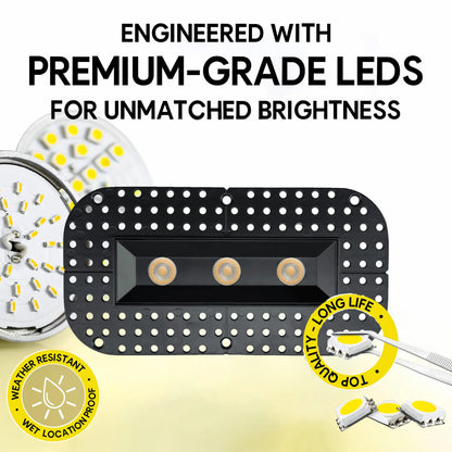 P-7361 1.5 Inch Trimless Ultra-Narrow 3 Head Black HO, 45W, 3300 Lumens, 5CCT Recessed Light