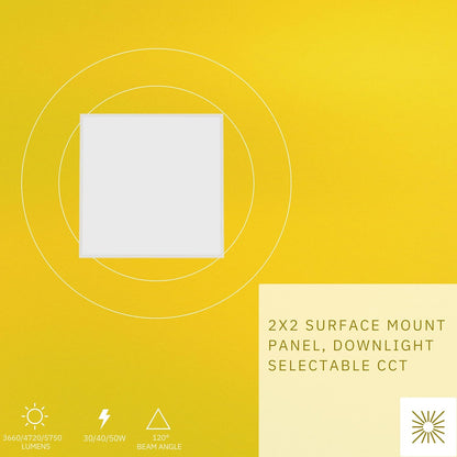 P-6629 2x2 LED Surface Mount Panel Light, 30 Watts, 3660 Lumens 5CCT