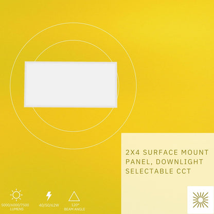 P-6630 2x4 LED Surface Mount Panel Light, 40 Watts, 5000 Lumens 5CCT