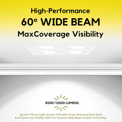 P-7473 4 inch Trimless Quadruple Head Round White HO, 80/128W, 9000/12000 Lumens, 5CCT Recessed Light