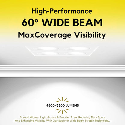 P-7407 2 inch Trimless Quadruple Head Round White HO, 56/80W, 4800/6800 Lumens, 5CCT Recessed Light