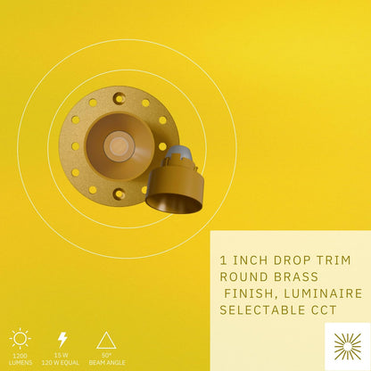 P-6584 1 Inch Round Drop, Brass Finish 15 Watts, 1200 Lumens 5CCT Recessed Light