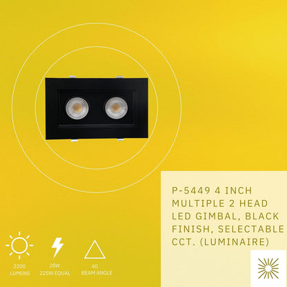 P-5449 4 Inch 2 Head Black 28W 2200 Lumens 5CCT Gimbal Light