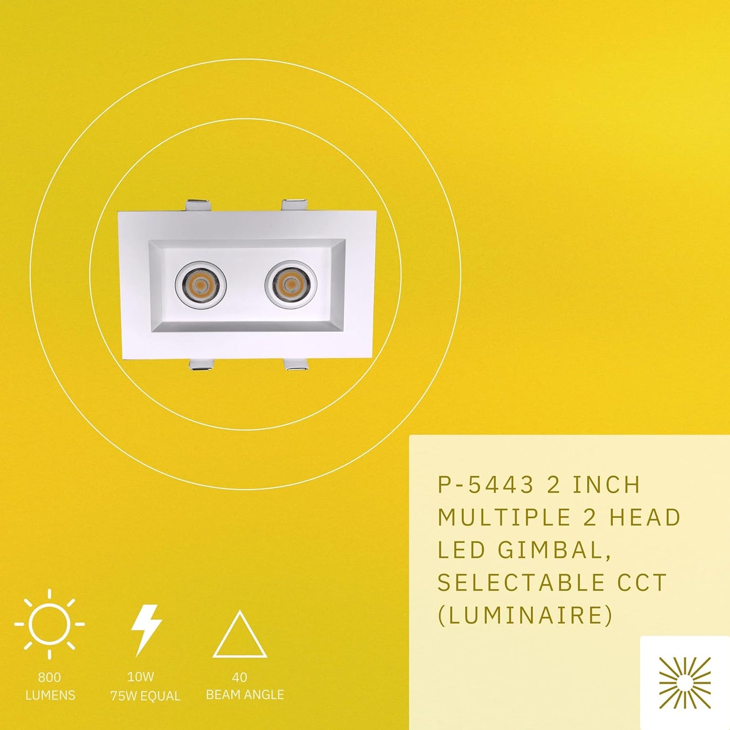 P-5443 2 Inch 2 Head White 10W 800 Lumens 5CCT Gimbal Light