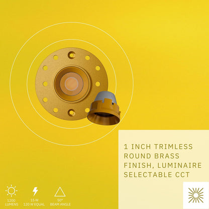 P-6564 1 Inch Trimless Round, Brass Finish 15 Watts, 1200 Lumens 5CCT Recessed Light