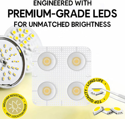 P-7459 4 inch Trimless Quadruple Head Round White, 60/88W, 6400/9600 Lumens, 5CCT Recessed Light