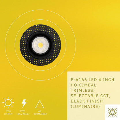P-6166 4 Inch Trimless Black Round 17W 1500 Lumens 5CCT Gimbal Light
