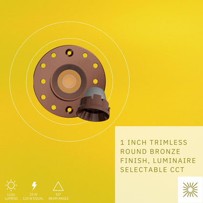 P-6562 1 Inch Trimless Round, Bronze Finish 15 Watts, 1200 Lumens 5CCT Recessed Light