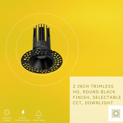 P-6381 2 Inch Trimless Round Black 14W-8W 1200-750 Lumens 5CCT Recessed Light
