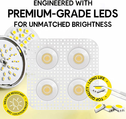 P-7425 3 inch Trimless Quadruple Head Round White HO, 60/80W, 5600/8400 Lumens, 5CCT Recessed Light