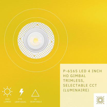 P-6165 4 Inch Trimless White Round 17W 1500 Lumens 5CCT Gimbal Light