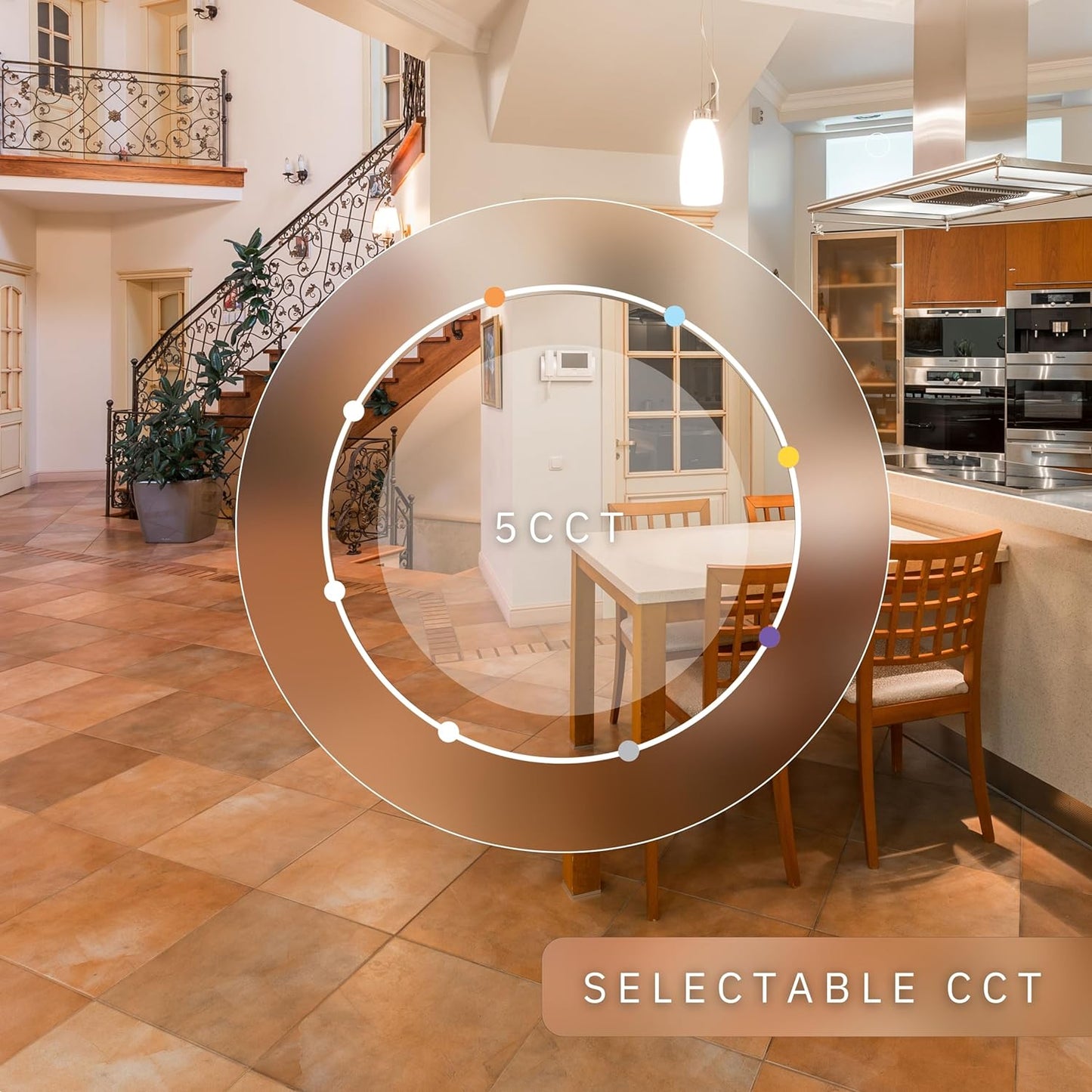 P-6033 3 Inch Wall Wash White Round 24W 1800 Lumens 5CCT Recessed Light