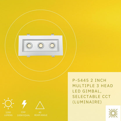 P-5445 2 Inch 3 Head White 15W 1200 Lumens 5CCT Gimbal Light