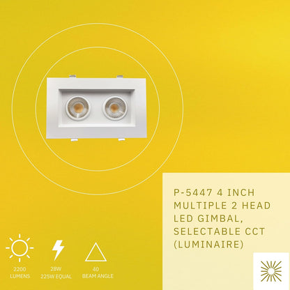 P-5447 4 Inch 2 Head White 28W 2200 Lumens 5CCT Gimbal Light