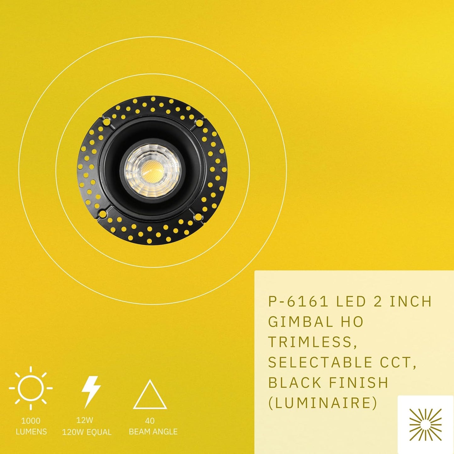 P-6161 2 Inch Trimless Black Round 12W 1000 Lumens 5CCT Gimbal Light