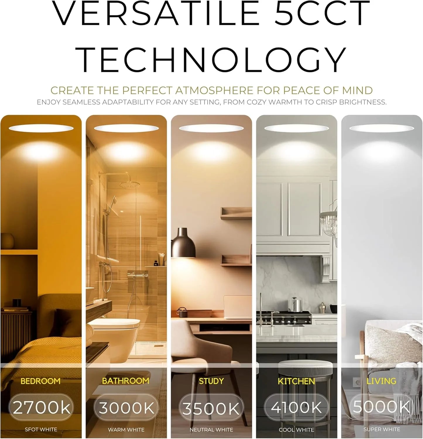 P-7154 3.5 Inch Millwork Trimless Round Bronze HO 18-30W, 1700-2700 Lumens 5CCT Recessed Light