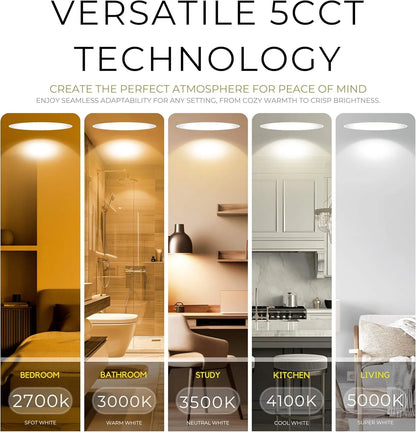 P-7154 3.5 Inch Millwork Trimless Round Bronze HO 18-30W, 1700-2700 Lumens 5CCT Recessed Light