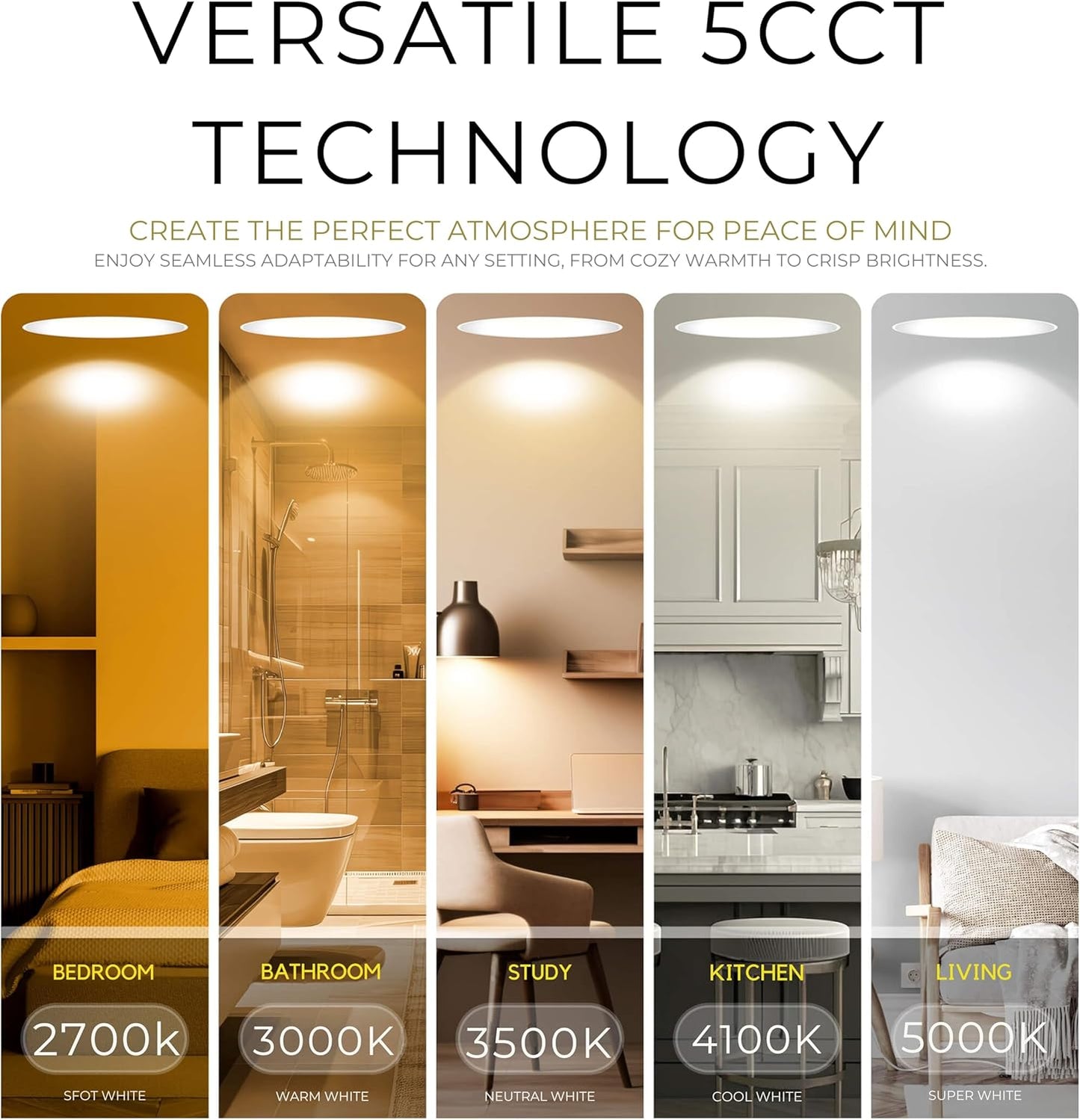 P-7506 3 inch Trimless Round Wall-Wash White HO, 24W, 2100 Lumens, 5CCT Recessed Light