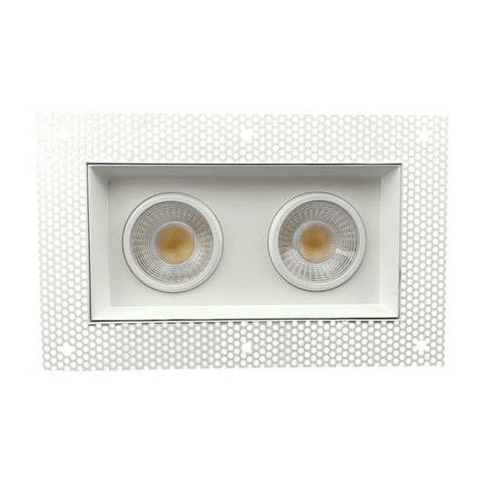 P-5461 4 Inch Trimless 2 Head White 28W 2200 Lumens 5CCT Gimbal Light