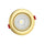 P-5867 4 Inch Round Brushed Brass 14W 1200 Lumens 5CCT Gimbal Light