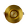 P-5868 3 Inch Round Brushed Brass 8W 700 Lumens 5CCT Gimbal Light