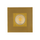P-6032 3 Inch Brushed Brass Square 24W 1800 Lumens 5CCT Recessed Light