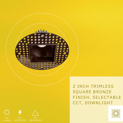 P-6367 2 Inch Trimless Square Bronze 8W 700 Lumens 5CCT Recessed Light