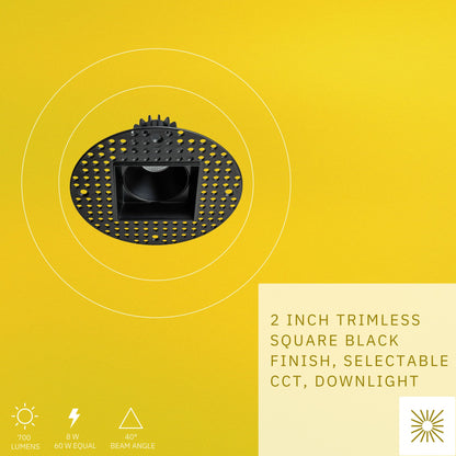 P-6387 2 Inch Trimless Square Black 8W=60W, 700 Lumens 5CCT Recessed Light