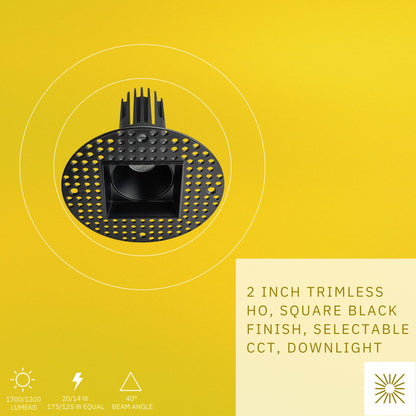 P-6388 2 Inch Trimless Square Black 14W-20W=125W-175W, 1200-1700 Lumens 5CCT Recessed Light