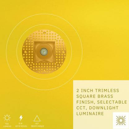P-6419 2 Inch Trimless Square, Brass Finish 8 Watts, 700 Lumens 5CCT Recessed Light