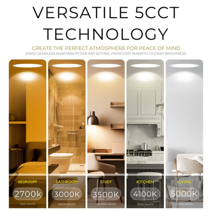 P-7233 5 Inch Trimless Round Brushed Brass 23-50W, 2200-5000 Lumens, 5CCT Recessed Light