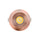 P-7330 6 Inch Round Brushed Copper 40-82W, 3800-7200 Lumens, 5CCT Recessed Light