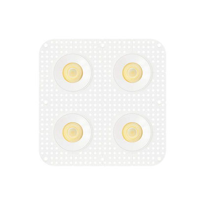 P-7443 3.5 inch Trimless Quadruple Head Round White, 36/60, 3600/5600 Lumens, 5CCT Recessed Light