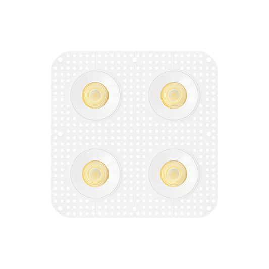 P-7451 3.5 inch Trimless Quadruple Head Round White HO, 72/120W, 6800/10800 Lumens, 5CCT Recessed Light
