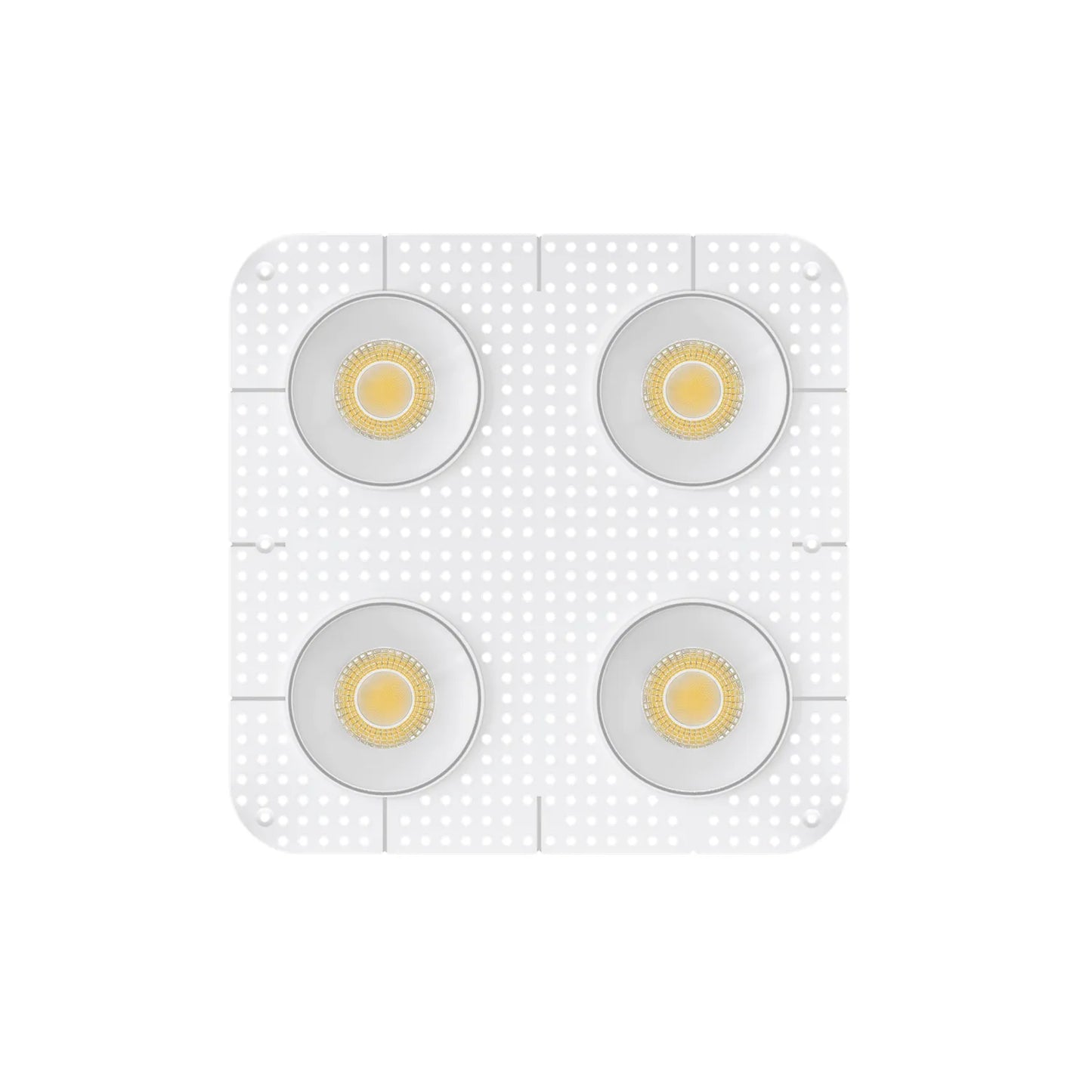 P-7459 4 inch Trimless Quadruple Head Round White, 60/88W, 6400/9600 Lumens, 5CCT Recessed Light