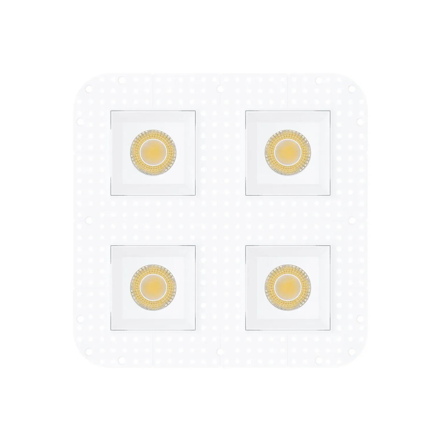 P-7464 4 inch Trimless Quadruple Head Square White, 60/88W, 6400/9600 Lumens, 5CCT Recessed Light