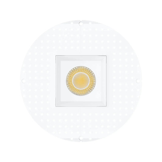 P-7469 4 inch Trimless Single Head Square White HO, 20/32W, 2000/3000 Lumens, 5CCT Recessed Light