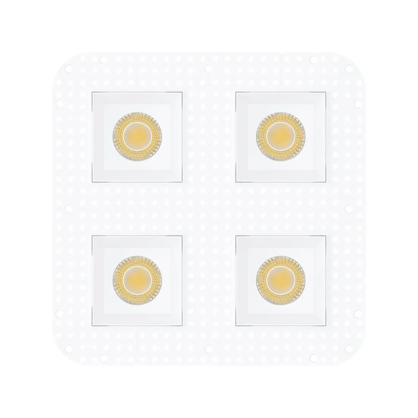 P-7473 4 inch Trimless Quadruple Head Round White HO, 80/128W, 9000/12000 Lumens, 5CCT Recessed Light