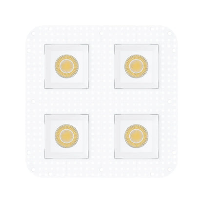 P-7473 4 inch Trimless Quadruple Head Round White HO, 80/128W, 9000/12000 Lumens, 5CCT Recessed Light