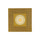 P-7532 3 inch Square Brushed Brass, 8W, 800 Lumens, 5CCT Recessed Light